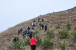 UAO Ormanı resim #8   <a href="usr_img/fotograf_galerisi/uao_ormani/1990.jpg" class="org_resim_indir" target="_blank" >Orjinal Resim</a>