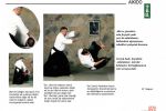 Kitaptan Sayfalar İçin Tıklayınız resim #4   <a href="usr_img/fotograf_galerisi/aikido_kitap/03.jpg" class="org_resim_indir" target="_blank" >Orjinal Resim</a>