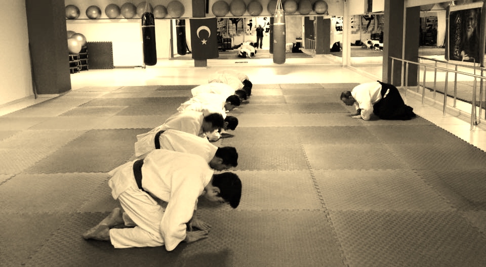 kayseri aikido hakkında, celal alp yavru
