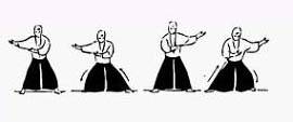 Vücut hareketleri, adana aikido, neden aikido, cukurova universitesi aikido