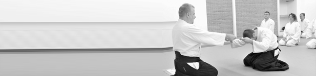 aikido adana, aikido dersleri, adanada aikido